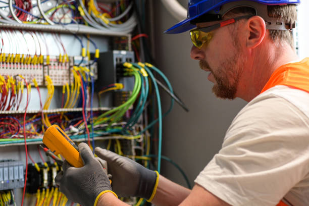 Best Electric Panel Repair  in Big Lake, MN